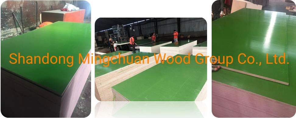 18mm Green Plastic Film Faced Plywood PVC Board Hardwood PP Plywood