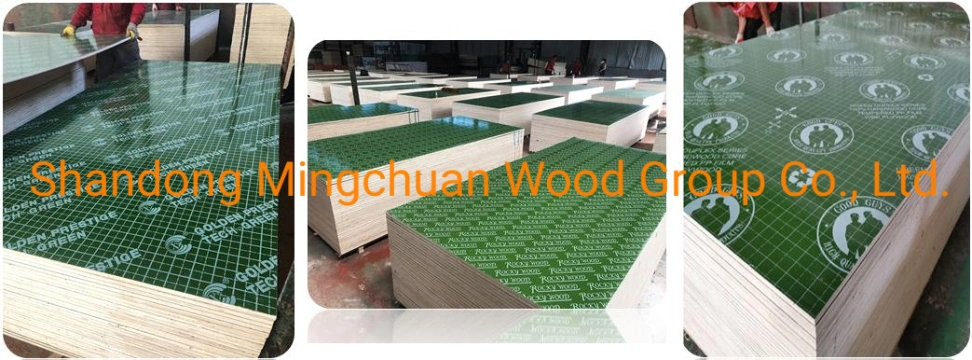 18mm Green Plastic Film Faced Plywood PVC Board Hardwood PP Plywood