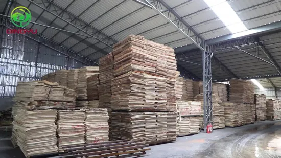 High Quality Okoume/Bintangor/Pencil Cedar/Poplar/Birch/Pine Faced Plywood Used for Furniture