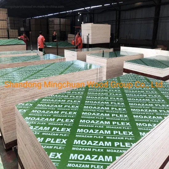 18mm Green Plastic Film Faced Plywood PVC Board Hardwood PP Plywood