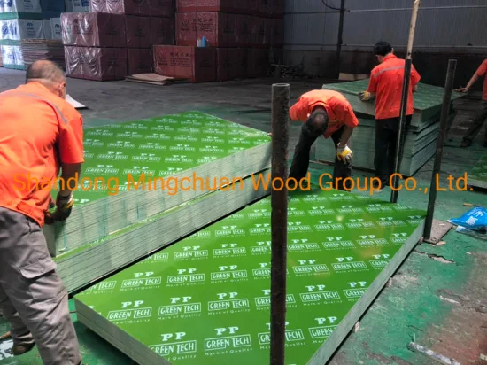 Formwork Plywood Green PP Hardwood Core Plywood PVC Film Faced Plywood